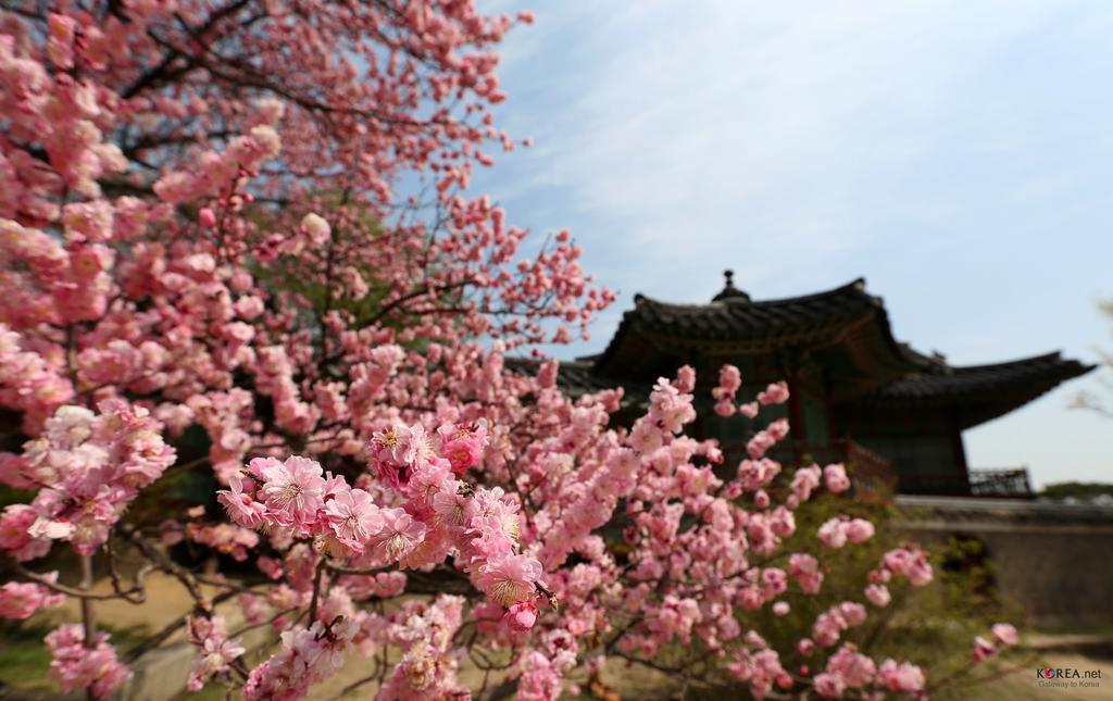 Seoul Forest Guesthouse Kültér fotó